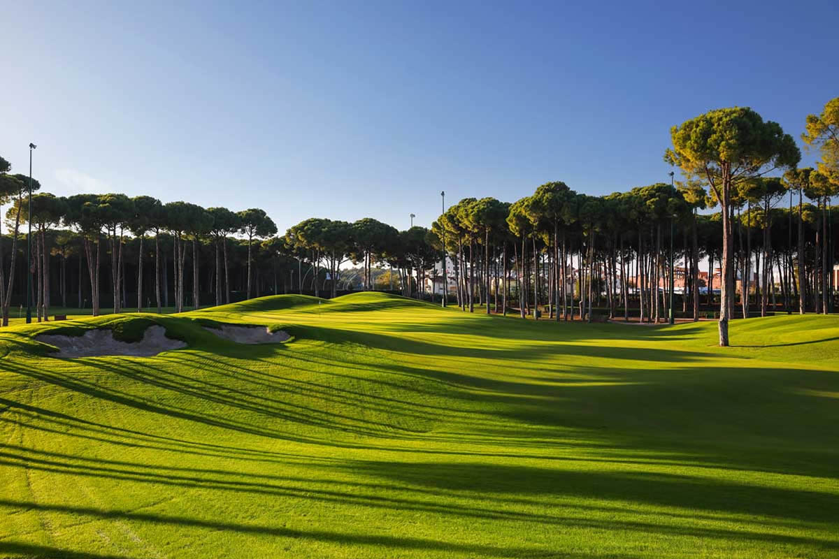 carya golf club